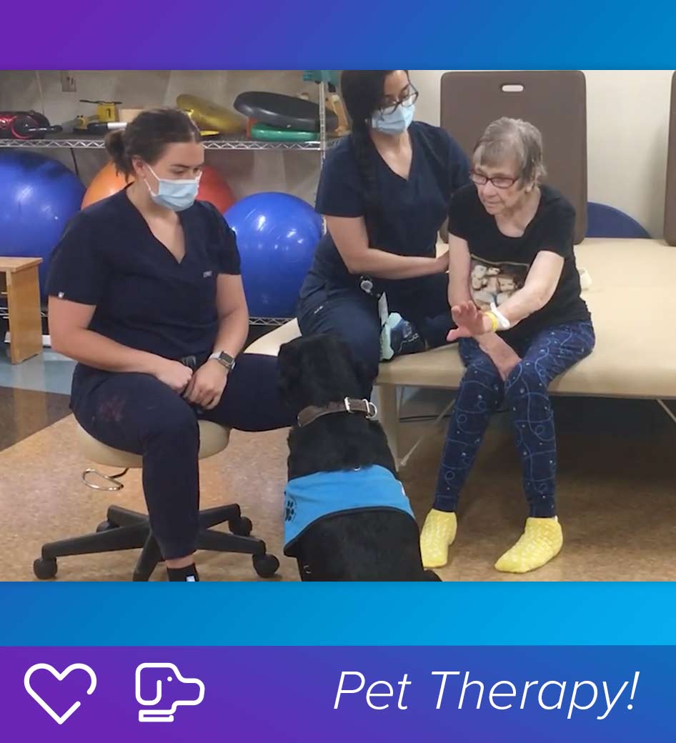 At Encompass Health of Arlington, we are grateful to have therapy dog Sabrina to assist our stroke survivors with rehabilitation.